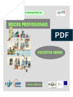 Riscos Profissionais - Conceitos Gerais.pdf
