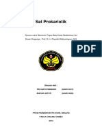 231269831 Makalah Sel Prokariotik by Tri Hastuti Eni