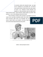 LI Fisiologi Saluran Pernapasan