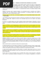 UU2 - Bleichmar - Fundacion de Lo Icc