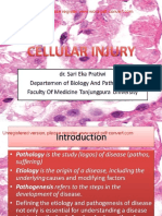 Cellular Injury