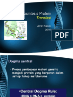 Biosintesis Protein