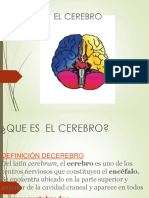 Cerebro Tradico