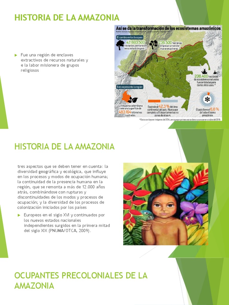 Historia de La Amazonia | PDF