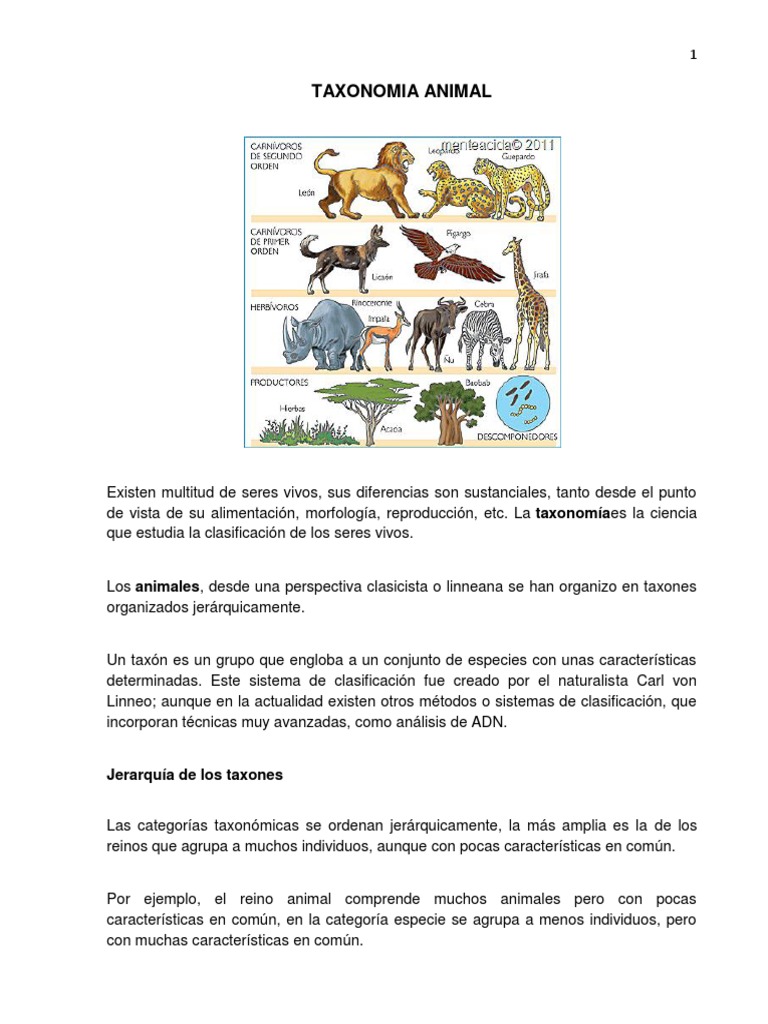 Taxonomia Animal | Descargar gratis PDF | Anfibio | Vertebrados