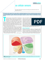 TRP Channels As Cellular Sensors David E. Clapham Howard