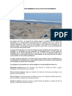 Argumentos Sobre La Contaminación de La Playa de Pacasmayo