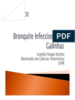 3 - Bronquite Infecciosa Das Galinhas