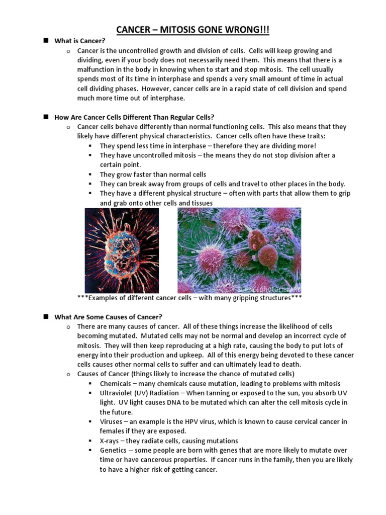 Cancer and Cell Division 14-15 | PDF | Neoplasms | Cancer