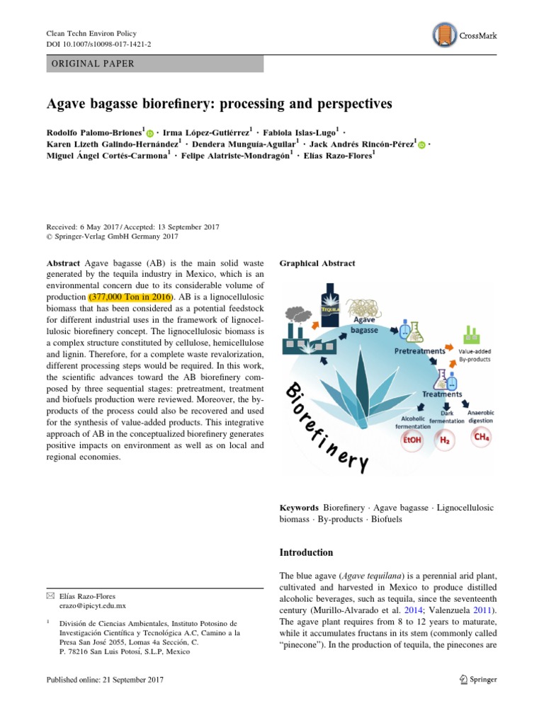 Agave Bagasse Biorefinery - Processing and Perspectives PDF | PDF ...