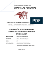 Procedimiento Administratio Sancionador