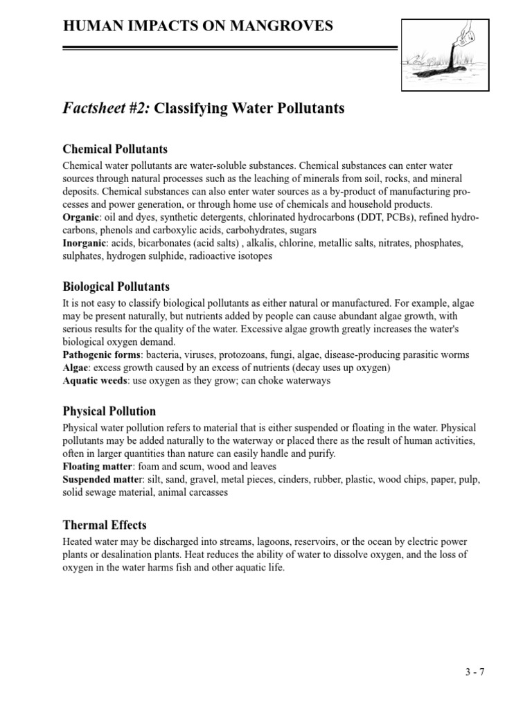 Fact Sheet Activity and Questionnaire Human Impacts On Mangroves PDF Water Pollution