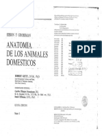 Anatomia Veterinaria de Los Animales Domésticos - Sisson y Grossman Tomo 1