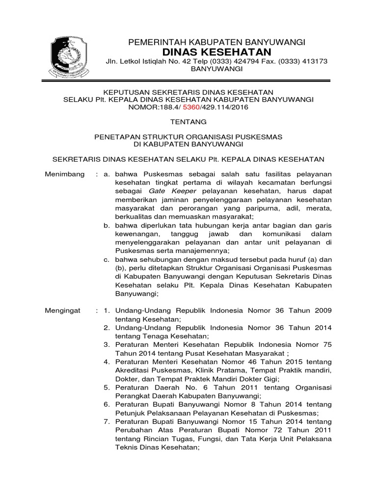 Sk Struktur Organisasi Puskesmas