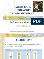 Apres Cariótipo e Aberrações Cromossômicas Biologia