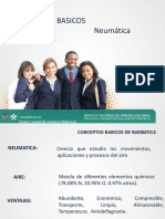 Neumaticabsica 140119165407 Phpapp01 PDF