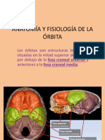 Anatomia y Fisiologia de La Orbita