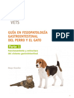 GUIA_GI_Parte1.pdf