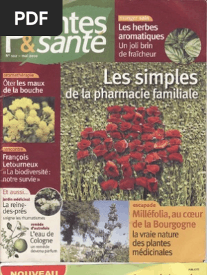 Plantes Et Sante 102 Medecine Alternative Plantes