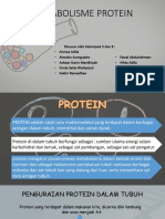 Metabolisme Protein