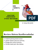 Anatomi Sistem Kardiovaskular