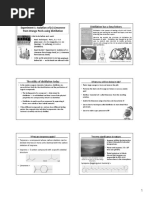 Experiment Distillation Limonene Completa Di Teoria