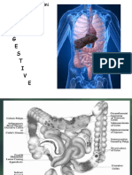 Catatan Bedah Digestive