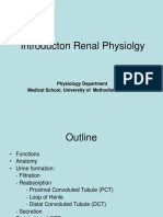 Introducton Renal Physiolgy: Physiology Department Medical School, University of Methodist Indonesia