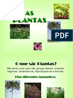 apresentaoplantas-120622055312-phpapp02.pdf