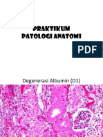 IPT-Patologi Anatomi