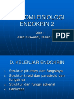 Anatomi Fisiologi Endokrin 2