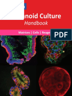 Organoid Culture Handbook