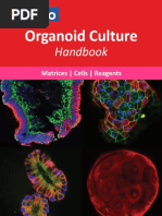 Organoid Culture Handbook