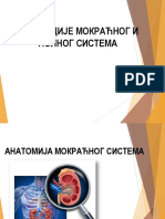 Варијације Урогениталног Система, Изборни Предмет