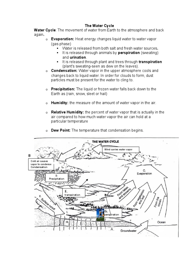 Notes On The Water Cycle PDF