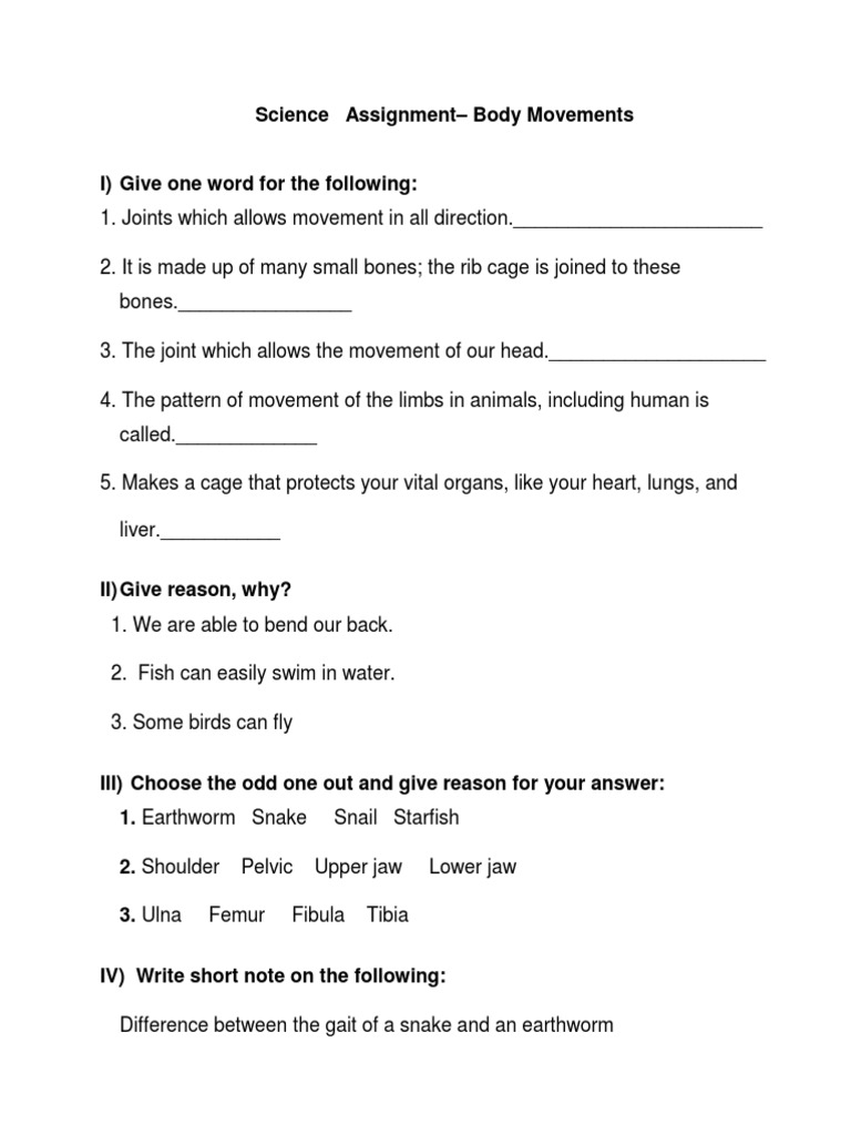 Class 6 Body Movements Assignment | PDF | Science & Mathematics
