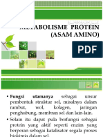 Metabolisme Asam Amino