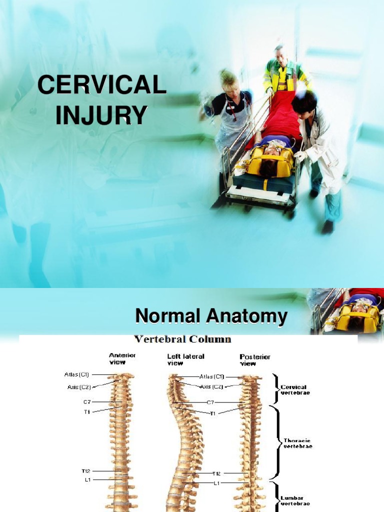 Spinalinjury | PDF | Spinal Cord Injury | Vertebral Column