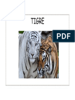 Tigre