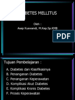 Diabetes Mellitus - Ppteditan