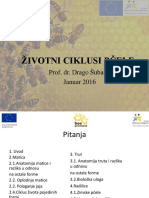 животни циклус пчеле PDF