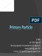 Primary Particle