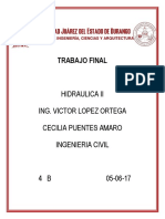 Cecilia Puentes Amaro-trabajo Final Hidraulica II