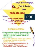 Presentación Virus Del Nilo - Teoria