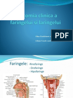 Anatomia Aparatului Respirator Superior