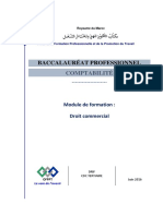 Bac Pro Comp M Droit Commercial