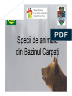 BAZINUL CARPATI-animale-prezentareE3.pdf