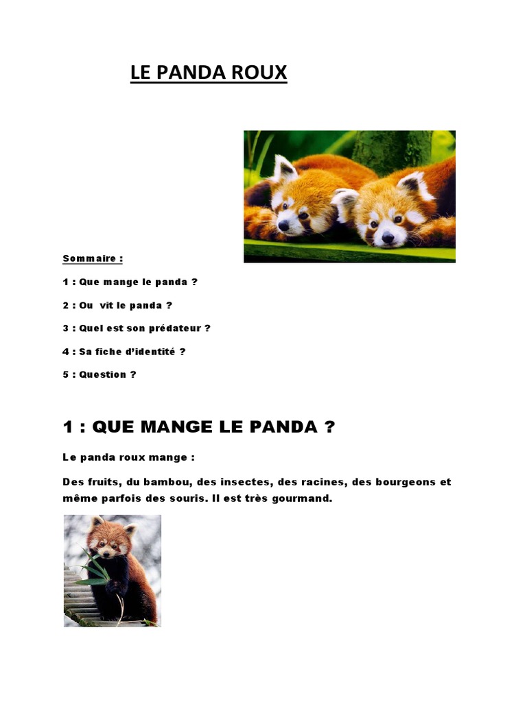 Le Panda Roux