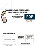 Mortalidad perinatal y neonatal: causas y estrategias de prevención