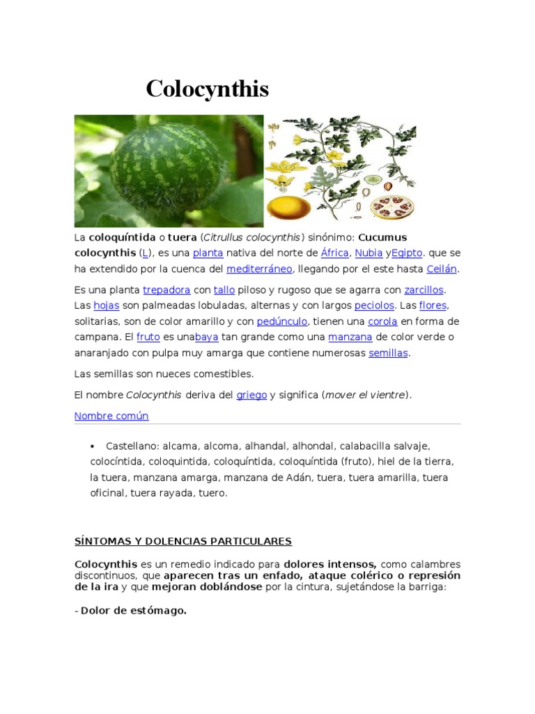 COLOCYNTHIS | PDF | Especialidades Medicas | Salud y bienestar